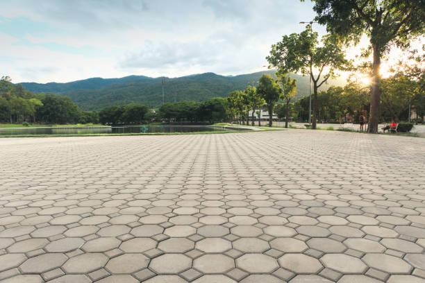 Best Driveway Repair Near Me  in Riverside, IL