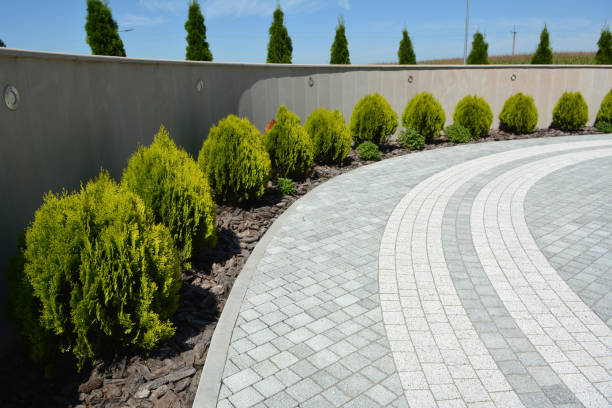 Best Custom Driveway Pavers  in Riverside, IL